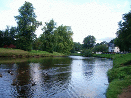 Appleby-in-Westmorland Cumbria, River Eden, Ducks.