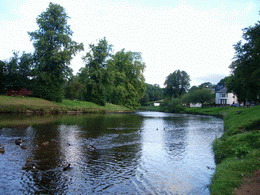 Appleby-in-Westmorland Cumbria, River Eden, Ducks. Appleby-in-Westmorland Cumbria, River Eden, Ducks.