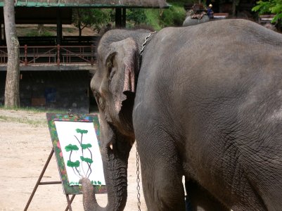 elephant, elephant painting, smart move, smart goals. elephant, elephant painting, smart move, smart goals.